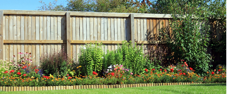 garden fence