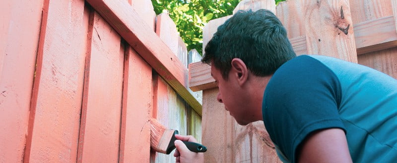 painting garden fence panels