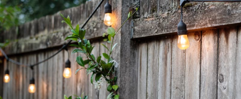 Wooden fencing with fairy lights