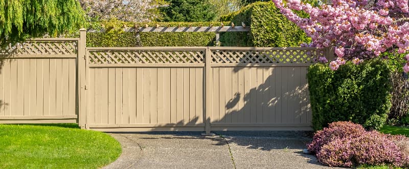 light coloured garden fence panels