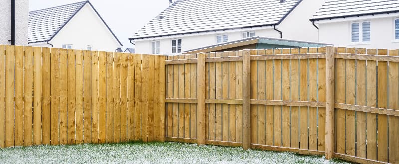 timber fencing in garden