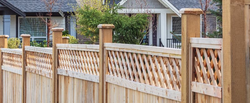 close up of new trellis fencing in garden