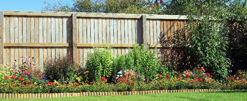 sunny garden fence